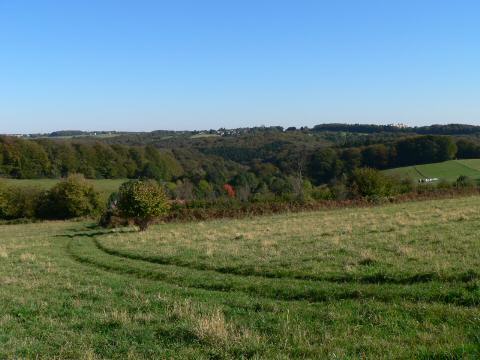 Herbst fängt langsam an,