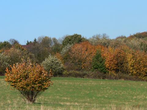 folgt ein sonniger Herbsttag.