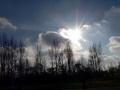 die Sonne