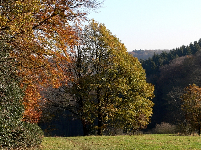 herbstlich10.jpg