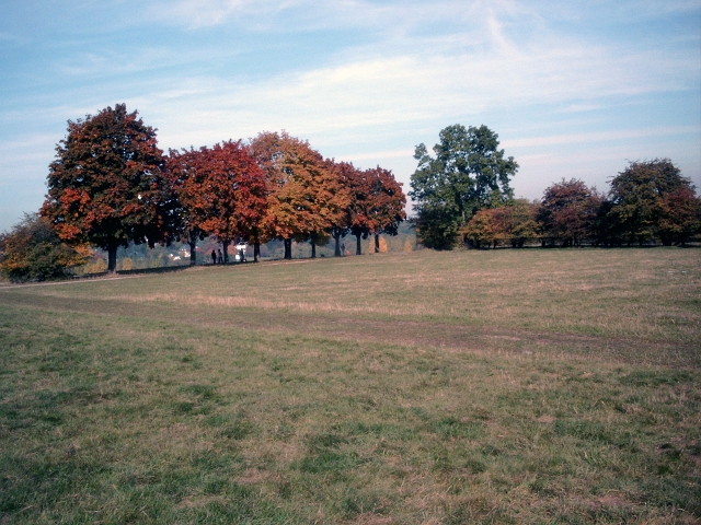 herbstlich11.jpg