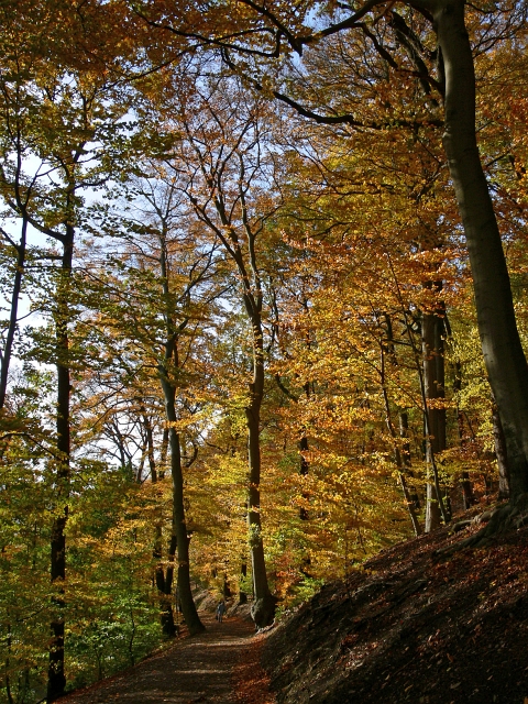 herbstlich12.JPG