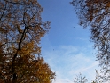 herbstlich02