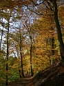 herbstlich12