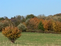 herbstlich13