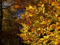 herbstlich14