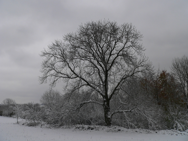 winter08.jpg