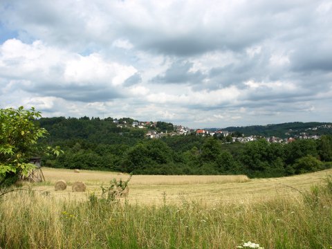 ... schönen Aussichten ...