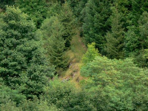 ... um uns auf dem Waldpfad ...