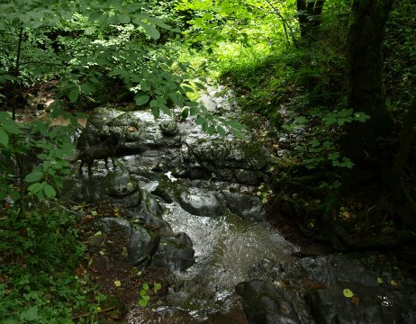 Im Bachtal nahmen wir ...
