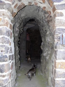 Jule und ich folgten gut gelaunt den Menschen in den Turm.