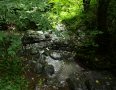Im Bachtal nahmen wir ...