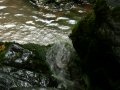 ... dessen Wasser ...