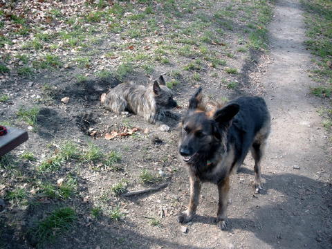 Bild5178 (2)