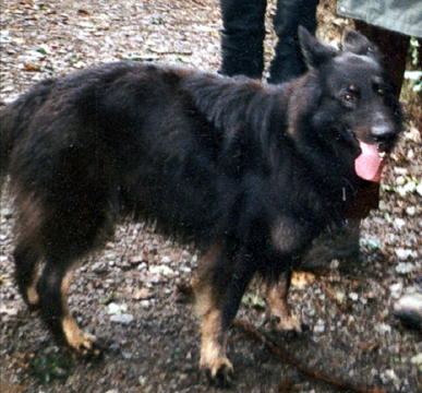 freund8