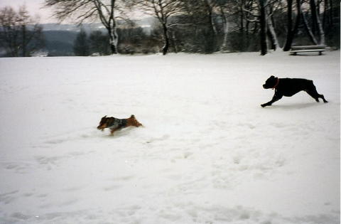 freund3