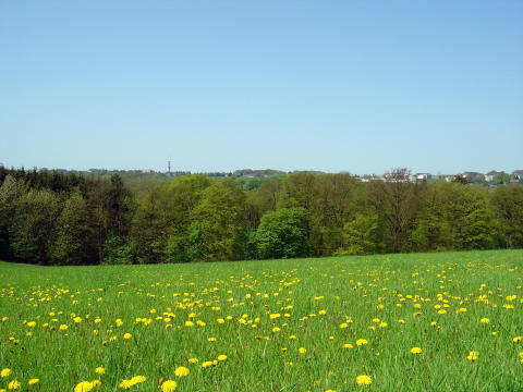 Frühling038