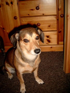 3 Oktober 2003 020