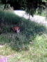 1Aug2004c 010
