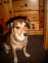 3 Oktober 2003 020