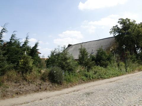 Auf dem weiteren Weg fanden wir statt der Elbe ...