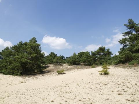 Ziemlich sandige Gegend.
