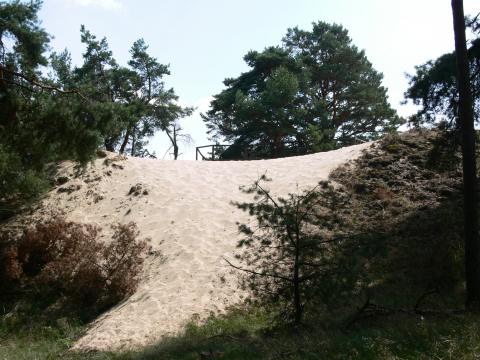 Die Leeseite der Düne.