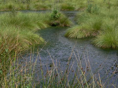 ... war reich an Wasser ...