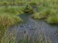 ... war reich an Wasser ...