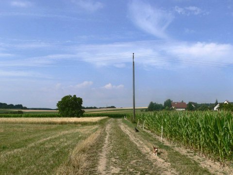 Ein paar Meter weiter waren wir im Freien.