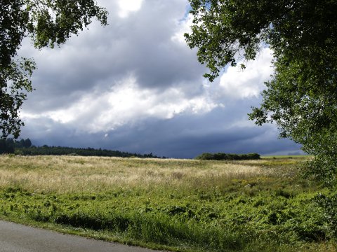 So richtig heimelig kam mir das nicht vor, aber die Sonne schien ...