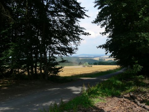 ... ein Bauer brachte die Ernte ein, und wir machten uns auf den Weg zur Mörschieder Burr.