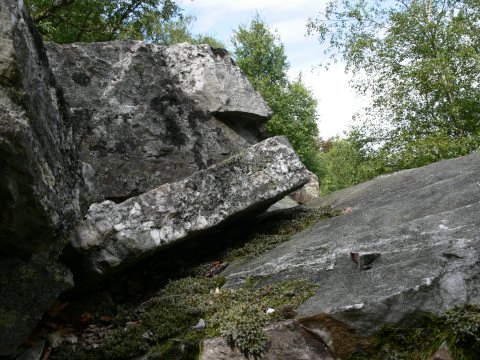 ... bewachsenen Steinungetüme.