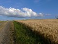 Manchmal schienen die Wolken die Erde fast zu berühren.