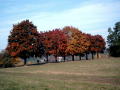 Herbst 19 Okt 2003 028a