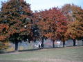 Herbst 19 Okt 2003 027