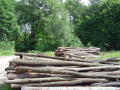 3Juli2004 037