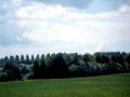 Bild5413 (2)