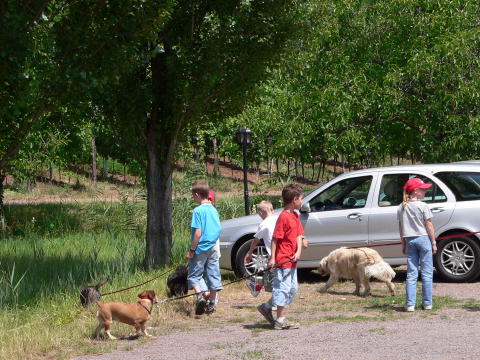 Pfalz 2005 258