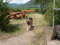 Pfalz 2005 092