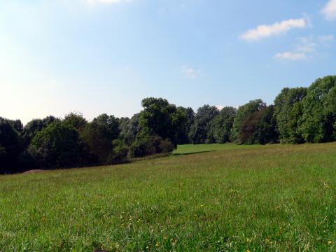 sommer034