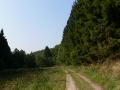 sommer051
