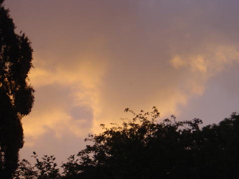 30Aug2004a 011